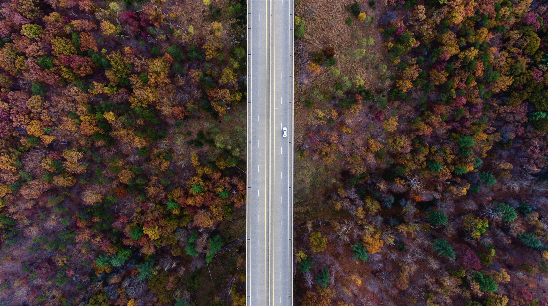 Signs Your Car Battery Is Feeling the Fall Chill