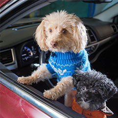 Aurora AutoPros || Home Gallery Image 9